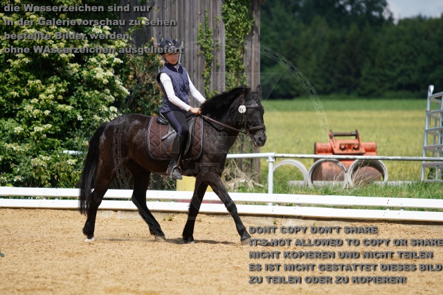 s_K3F05970.JPG